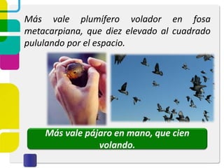 Más vale plumífero volador en fosa
metacarpiana, que diez elevado al cuadrado
pululando por el espacio.
Más vale pájaro en mano, que cien
volando.
 