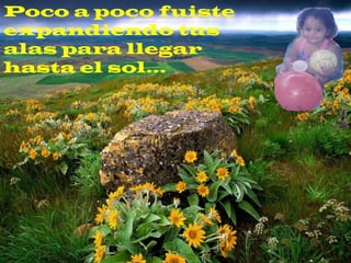 Poco a poco fuiste  expandiendo tus alas para llegar hasta el sol…  