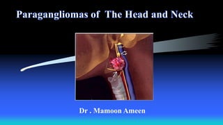 Dr . Mamoon Ameen
 
