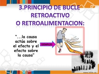 3.PRINCIPIO DE BUCLE RETROACTIVO O RETROALIMENTACION:“...la causa actúa sobre el efecto y el efecto sobrela causa”EJEMPLOS: