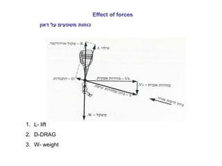 Effect of forces
‫דאון‬ ‫על‬ ‫משפעים‬ ‫כוחות‬
1. L- lift
2. D-DRAG
3. W- weight
 