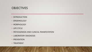 OBJECTIVES
• INTRODUCTION
• EPIDEMIOLOGY
• MORPHOLOGY
• LIFE CYCLE
• PATHOGENESIS AND CLINICAL MANIFESTATION
• LABORATORY DIAGNOSIS
• PREVENTION
• TREATMENT
 