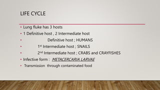 LIFE CYCLE
• Lung fluke has 3 hosts
• 1 Definitive host , 2 Intermediate host
• Definitive host ; HUMANS
• 1st Intermediate host ; SNAILS
• 2nd Intermediate host ; CRABS and CRAYFISHES
• Infective form : METACERCARIA LARVAE
• Transmission through contaminated food
 