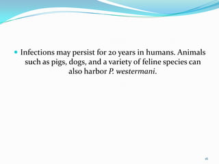  Infections may persist for 20 years in humans. Animals
   such as pigs, dogs, and a variety of feline species can
                 also harbor P. westermani.




                                                             16
 