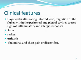 Clinical features
 Days-weeks after eating infected food, migration of the
    flukes within the peritoneal and pleural cavities causes
    signs of inflammatory and allergic responses
    fever
   rashes
   urticaria
    abdominal and chest pain or discomfort.




                                                               21
 