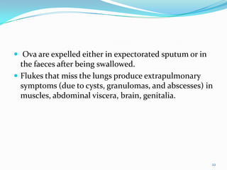  Ova are expelled either in expectorated sputum or in
  the faeces after being swallowed.
 Flukes that miss the lungs produce extrapulmonary
  symptoms (due to cysts, granulomas, and abscesses) in
  muscles, abdominal viscera, brain, genitalia.




                                                         22
 
