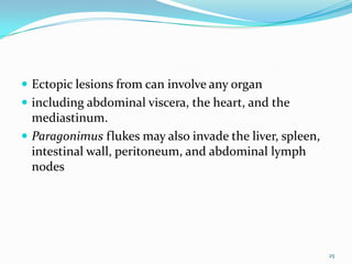  Ectopic lesions from can involve any organ
 including abdominal viscera, the heart, and the
  mediastinum.
 Paragonimus flukes may also invade the liver, spleen,
  intestinal wall, peritoneum, and abdominal lymph
  nodes




                                                          25
 