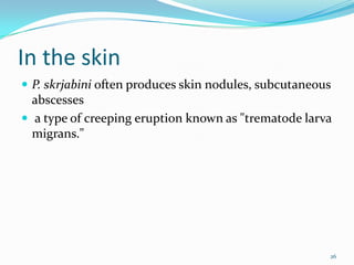 In the skin
 P. skrjabini often produces skin nodules, subcutaneous
  abscesses
 a type of creeping eruption known as "trematode larva
  migrans."




                                                       26
 