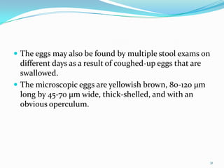  The eggs may also be found by multiple stool exams on
  different days as a result of coughed-up eggs that are
  swallowed.
 The microscopic eggs are yellowish brown, 80-120 µm
  long by 45-70 µm wide, thick-shelled, and with an
  obvious operculum.




                                                           31
 