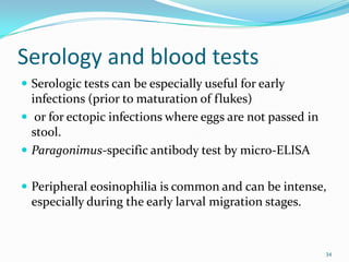 Serology and blood tests
 Serologic tests can be especially useful for early
  infections (prior to maturation of flukes)
 or for ectopic infections where eggs are not passed in
  stool.
 Paragonimus-specific antibody test by micro-ELISA


 Peripheral eosinophilia is common and can be intense,
  especially during the early larval migration stages.


                                                           34
 
