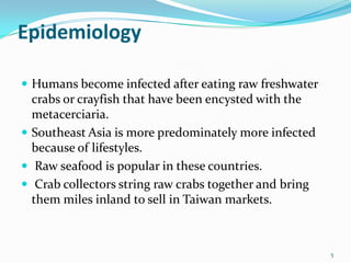 Epidemiology

 Humans become infected after eating raw freshwater
  crabs or crayfish that have been encysted with the
  metacerciaria.
 Southeast Asia is more predominately more infected
  because of lifestyles.
 Raw seafood is popular in these countries.
 Crab collectors string raw crabs together and bring
  them miles inland to sell in Taiwan markets.



                                                        5
 