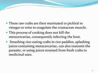  These raw crabs are then marinated or pickled in
  vinegar or wine to coagulate the crustacean muscle.
 This process of cooking does not kill the
  metacercariae, consequently infecting the host.
 Smashing rice-eating crabs in rice paddies, splashing
  juices containing metacercariae, can also transmit the
  parasite, or using juices strained from fresh crabs to
  medicinal uses.



                                                           6
 