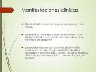 Manifestaciones clínicas
 El período de incubación puede ser de uno a dos
meses.
 Las primeras manifestaciones corresponden a un
síndrome febril o a un cuadro de dolor abdominal
transitorio en epigastrio
 Las manifestaciones son comunes a la invasión
pulmonar, con diversos grados de fibrosis (difusa,
localizada o generalizada), disnea, tos, dolor torácico,
diaforesis, esputo hemoptoico o hemoptisis (tos con
sangre)
 