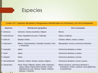 Especies
 