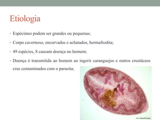 Etiologia
• Espécimes podem ser grandes ou pequenas;

• Corpo cavernoso, encurvados e achatados, hermafrodita;
• 49 espécies, 8 causam doença no homem;
• Doença é transmitida ao homem ao ingerir caranguejos e outros crustáceos

crus contaminados com o parasita;

 
