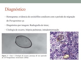 Diagnóstico
• Hemograma: evidencia de eosinófilos condizem com o período de migração

do Paragonimus sp.
• Diagnóstico por imagem: Radiografia de tórax;
• Citologia de escarro, biópsia pulmonar, intradermorreação.

 