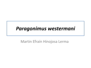 Paragonimus westermani
Martin Efraín Hinojosa Lerma
 
