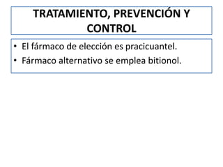 TRATAMIENTO, PREVENCIÓN Y
CONTROL
• El fármaco de elección es pracicuantel.
• Fármaco alternativo se emplea bitionol.
 