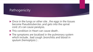 Pathogenicity
 Once in the lungs or other site , the eggs in the tissues
become Pseudotubercles ,and gets into the spinal
cord ,it’s can cause paralysis.
 This condition in Heart can cause death .
 The symptoms are localised in the pulmonary system
which include , bad cough ,bronchitis and blood in
sputum (hemoptysis ) .
 