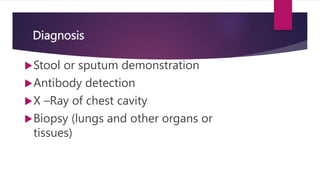 Diagnosis
Stool or sputum demonstration
Antibody detection
X –Ray of chest cavity
Biopsy (lungs and other organs or
tissues)
 
