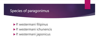 Species of paragonimus
 P. westermani filipinus
 P. westermani ichunencis
 P. westermani japonicus
 
