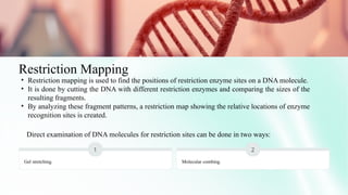 GENE MAPPING AND CLONING OF DISEASE GENE by Paragmoni Bora | PPTX