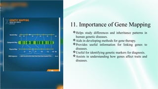 GENE MAPPING AND CLONING OF DISEASE GENE by Paragmoni Bora | PPTX