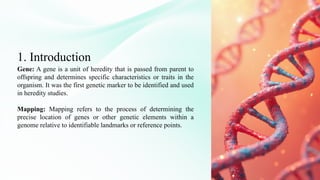 GENE MAPPING AND CLONING OF DISEASE GENE by Paragmoni Bora | PPTX