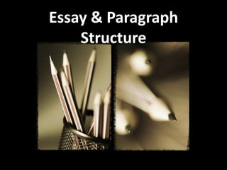 Essay & Paragraph
    Structure
 