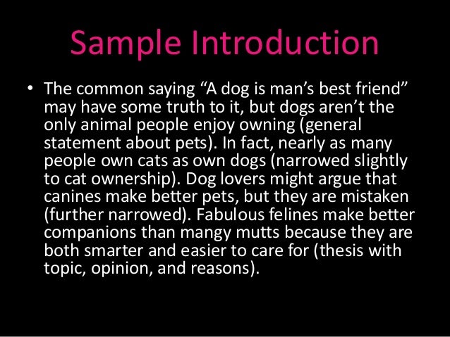 pet essay sample