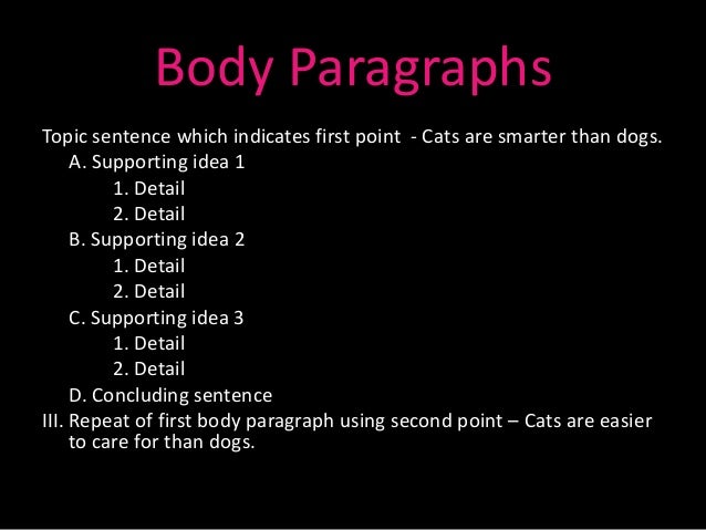 essay about cats