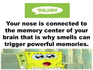 Your nose is connected to
the memory center of your
brain that is why smells can
trigger powerful memories.
 
