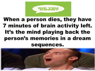When a person dies, they have
7 minutes of brain activity left.
It’s the mind playing back the
person’s memories in a dream
sequences.
 