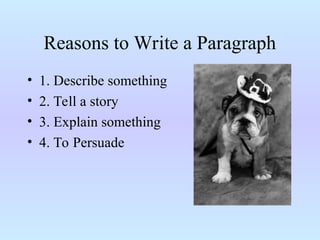 Power point presentation about paragraphs | PPT