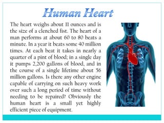 The heart weighs about 11 ounces and is
the size of a clenched fist. The heart of a
man performs at about 60 to 80 beats a
minute. In a year it beats some 40 million
times. At each beat it takes in nearly a
quarter of a pint of blood; in a single day
it pumps 2,200 gallons of blood, and in
the course of a single lifetime about 56
million gallons. Is there any other engine
capable of carrying on such heavy work
over such a long period of time without
needing to be repaired? Obviously the
human heart is a small yet highly
efficient piece of equipment.
 
