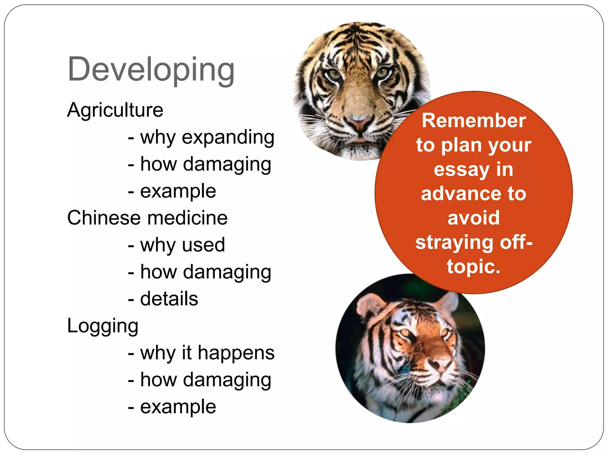 Developing
Agriculture
- why expanding
- how damaging
- example
Chinese medicine
- why used
- how damaging
- details
Logging
- why it happens
- how damaging
- example
Remember
to plan your
essay in
advance to
avoid
straying off-
topic.
 