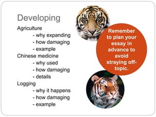 Developing
Agriculture
- why expanding
- how damaging
- example
Chinese medicine
- why used
- how damaging
- details
Logging
- why it happens
- how damaging
- example
Remember
to plan your
essay in
advance to
avoid
straying off-
topic.
 