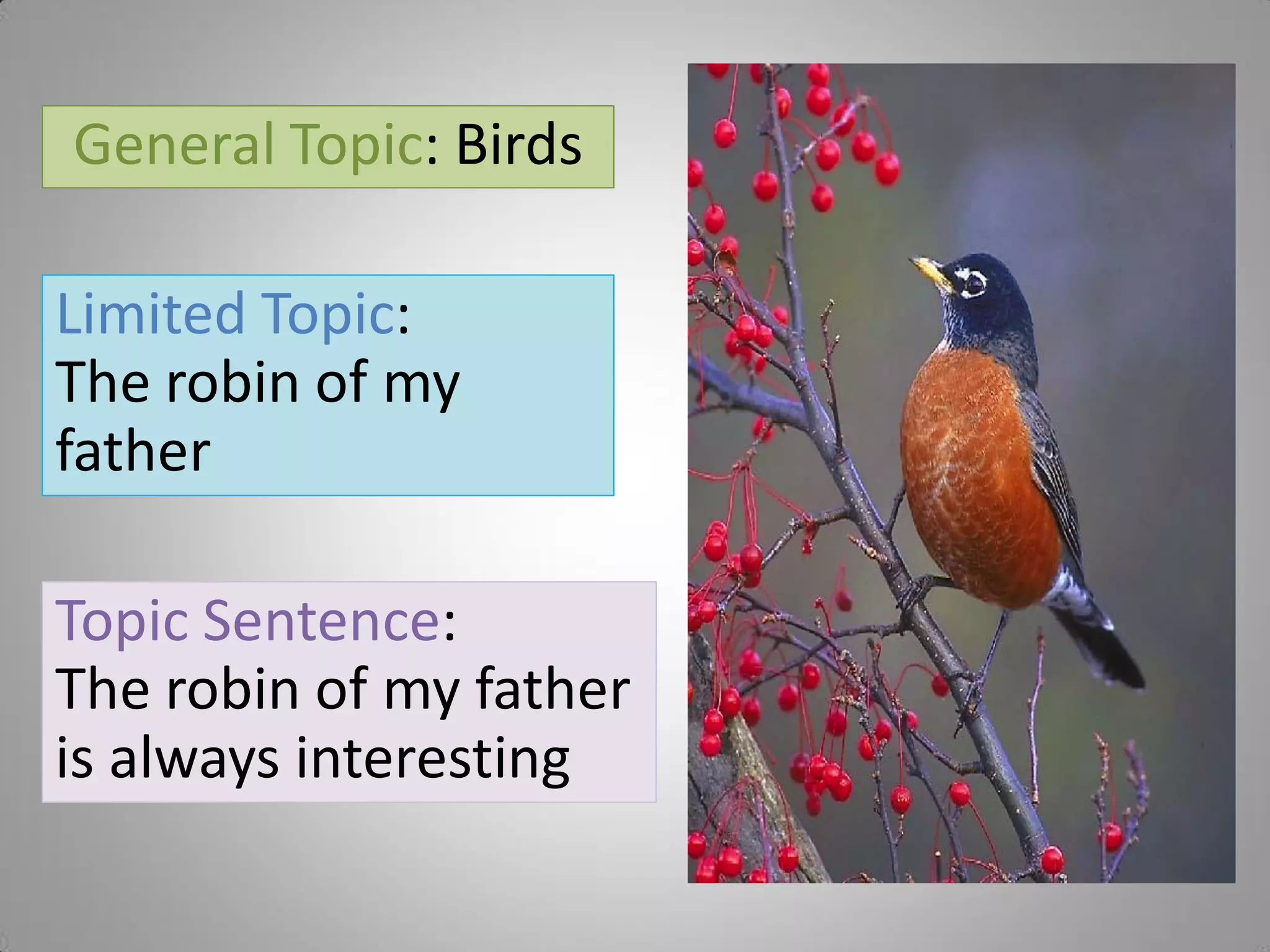 General Topic: Birds

Limited Topic:
The robin of my
father

Topic Sentence:
The robin of my father
is always interesting
 