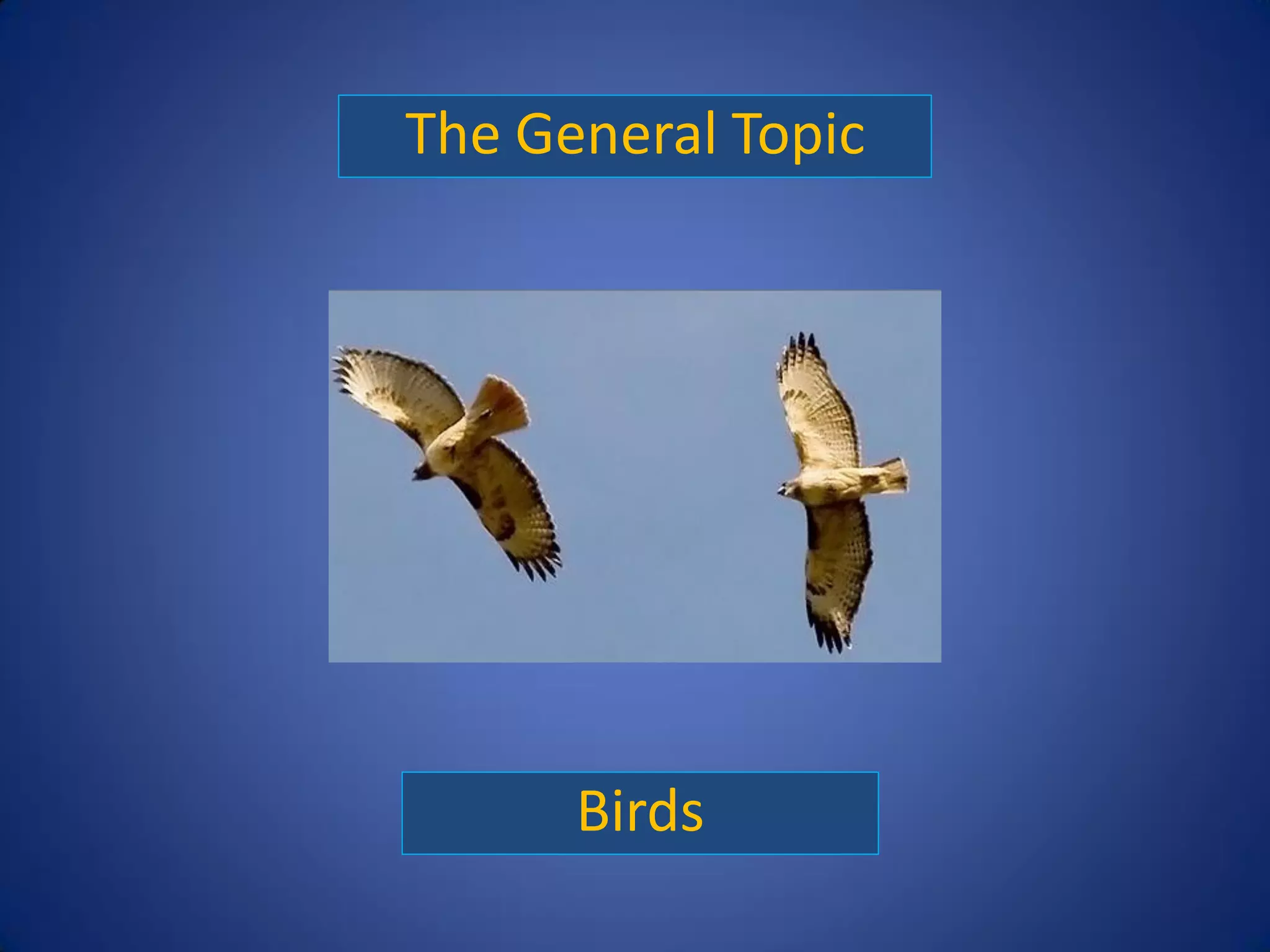 The General Topic




      Birds
 