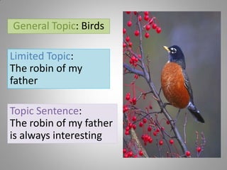 Paragraph Writing | PDF