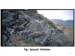 Fig.- Spaced Foliation
23
 