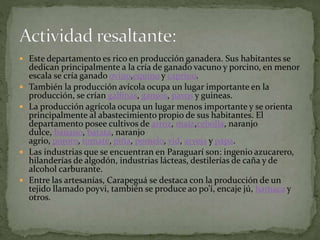  Este departamento es rico en producción ganadera. Sus habitantes se
dedican principalmente a la cría de ganado vacuno y porcino, en menor
escala se cría ganado ovino,equino y caprino.
 También la producción avícola ocupa un lugar importante en la
producción, se crían gallinas, gansos, pavos y guineas.
 La producción agrícola ocupa un lugar menos importante y se orienta
principalmente al abastecimiento propio de sus habitantes. El
departamento posee cultivos de arroz, maíz,cebolla, naranjo
dulce, banano, batata, naranjo
agrio, poroto, tomate, piña, pomelo, vid, arveja y papa.
 Las industrias que se encuentran en Paraguarí son: ingenio azucarero,
hilanderías de algodón, industrias lácteas, destilerías de caña y de
alcohol carburante.
 Entre las artesanías, Carapeguá se destaca con la producción de un
tejido llamado poyvi, también se produce ao po’í, encaje jú, hamaca y
otros.
 