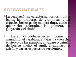 La vegetación se caracteriza por los montes bajos, las praderas de gramíneas y las especies boscosas de madera dura, como el quebracho colorado, la palmera, el guayacán y el timbó La fauna engloba especies como el armadillo, el capibara, el tapir, la vizcacha, el ciervo de las pampas, el yacaré o caimán de hocico ancho, el agutí, el guanaco, el grisón y varias especies de serpientes.  