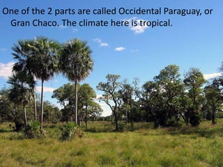 One of the 2 parts are called Occidental Paraguay, or
 Gran Chaco. The climate here is tropical.
 