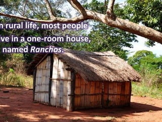 n rural life, most people
ive in a one-room house,
 named Ranchos.
 