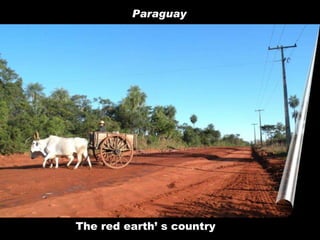 The red earth’ s country Paraguay 