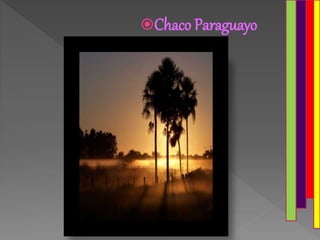 Chaco Paraguayo
 