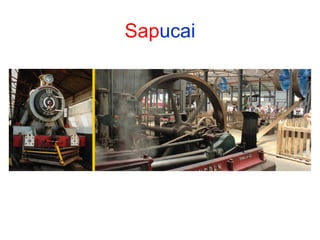 Sapucai

 