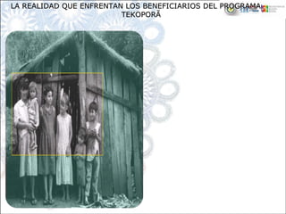 De los hogares beneficiarios
El 60% familias vive en condiciones de 
hacinamiento (3 personas y más por cuarto);
el 85% tiene hogares con pared de madera
el 74% tiene hogares con piso de tierra.
el 96% de los hogares utiliza leña para cocción 
de alimentos
alrededor del 40% no dispone de una pieza 
para bañarse
solo el 1% tiene pieza para bañarse con ducha 
eléctrica
el 92% tiene como servicio sanitario la letrina 
común
el 18% no accede a electricidad
el 72% no tiene heladera
el 90% solo habla guaraní
LA REALIDAD QUE ENFRENTAN LOS BENEFICIARIOS DEL PROGRAMALA REALIDAD QUE ENFRENTAN LOS BENEFICIARIOS DEL PROGRAMA
TEKOPORTEKOPORĂĂ
 