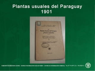 Plantas usuales del Paraguay
1901
 